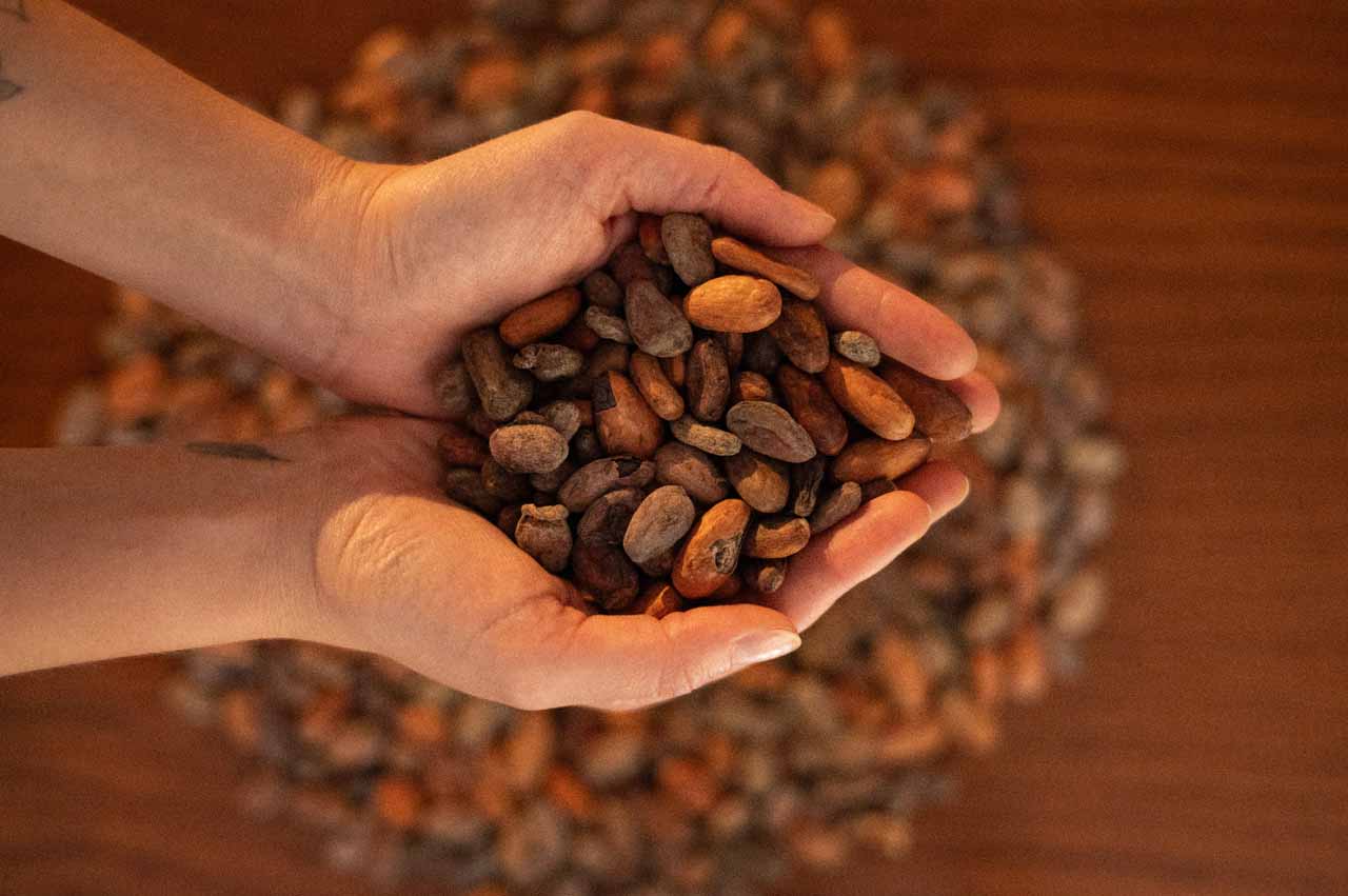 Cacao beans from origin